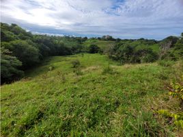  Terrain for sale in Puerto Boyaca, Boyaca, Puerto Boyaca