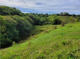  Grundstück zu verkaufen in Puerto Boyaca, Boyaca, Puerto Boyaca