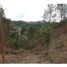  Land for sale in La Ceja, Antioquia, La Ceja