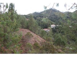  Terreno (Parcela) en venta en La Ceja, Antioquia, La Ceja