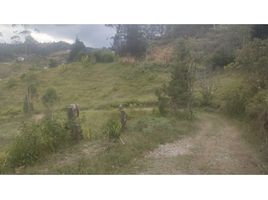  Land for sale in Guarne, Antioquia, Guarne