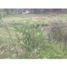  Land for sale in Guarne, Antioquia, Guarne