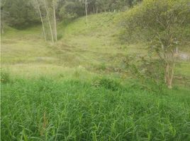  Land for sale in Guarne, Antioquia, Guarne