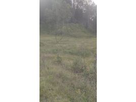  Land for sale in Guarne, Antioquia, Guarne