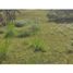  Land for sale in Guarne, Antioquia, Guarne