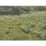  Land for sale in Guarne, Antioquia, Guarne