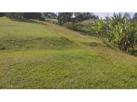  Land for sale in Guarne, Antioquia, Guarne