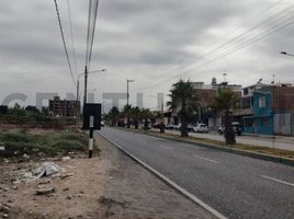  Terreno (Parcela) en alquiler en Tacna, Calana, Tacna, Tacna