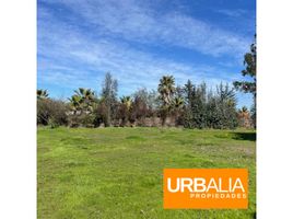  Land for sale in Valparaiso, Vina Del Mar, Valparaiso, Valparaiso