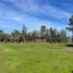  Land for sale in Valparaiso, Vina Del Mar, Valparaiso, Valparaiso