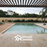  Land for sale in Conkal, Yucatan, Conkal