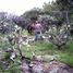  Grundstück zu verkaufen in Tepecoacuilco De Trujano, Guerrero, Tepecoacuilco De Trujano