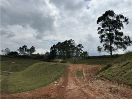  Terreno (Parcela) en venta en Marinilla, Antioquia, Marinilla