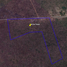  Terreno (Parcela) en venta en Motul, Yucatán, Motul