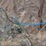  Land for sale in General Trias, Chihuahua, General Trias