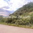  Land for sale in Pinal De Amoles, Queretaro, Pinal De Amoles