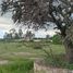  Land for sale in Coroneo, Guanajuato, Coroneo