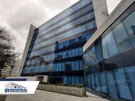 196 m² Office for rent in Monterrey, Nuevo Leon, Monterrey