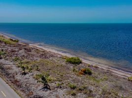  Land for sale in Yobain, Yucatan, Yobain