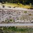  Land for sale in Yobain, Yucatan, Yobain