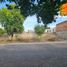  Land for sale in Colima, Colima, Colima, Colima