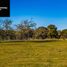  Land for sale in Chile, Maullin, Llanquihue, Los Lagos, Chile