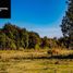  Land for sale in Chile, Maullin, Llanquihue, Los Lagos, Chile