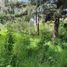  Land for sale in Alvaro Obregon, Mexico City, Alvaro Obregon, Mexico City