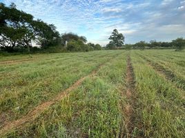  Terreno (Parcela) en venta en La Capital, Santa Fe, La Capital