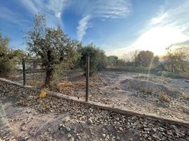  Land for sale in Maipu, Mendoza, Maipu