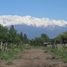  Grundstück zu verkaufen in San Carlos, Mendoza, San Carlos