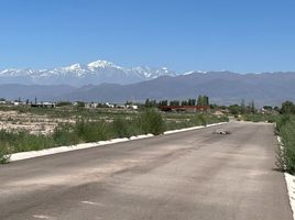  Terreno (Parcela) en venta en Lujan De Cuyo, Mendoza, Lujan De Cuyo