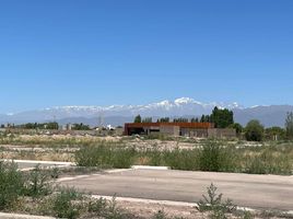  Terreno (Parcela) en venta en Lujan De Cuyo, Mendoza, Lujan De Cuyo