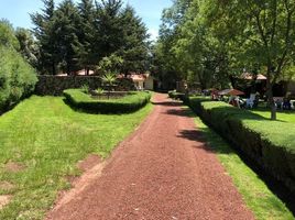  Grundstück zu verkaufen in Tlalpan, Mexico City, Tlalpan