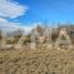  Land for sale in Confluencia, Neuquen, Confluencia