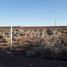  Land for sale in Confluencia, Neuquen, Confluencia