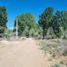  Land for sale in Confluencia, Neuquen, Confluencia