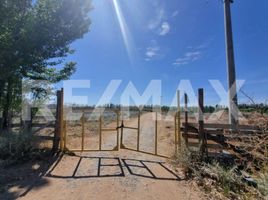  Land for sale in Neuquen, Confluencia, Neuquen