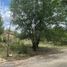  Land for sale in Punilla, Cordoba, Punilla