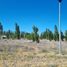  Terreno (Parcela) en venta en Confluencia, Neuquen, Confluencia