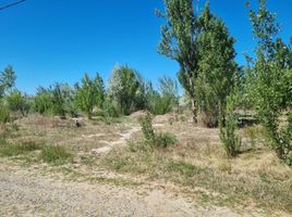  Terreno (Parcela) en venta en Confluencia, Neuquen, Confluencia