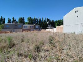  Terreno (Parcela) en venta en Confluencia, Neuquen, Confluencia