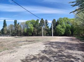  Land for sale in Neuquen, Confluencia, Neuquen