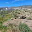  Terreno (Parcela) en venta en Escalante, Chubut, Escalante