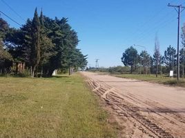  Land for sale in Garay, Santa Fe, Garay