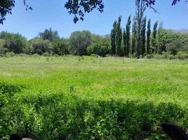  Land for sale in Ayacucho, San Luis, Ayacucho