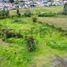  Terrain for sale in Alangasi, Quito, Alangasi