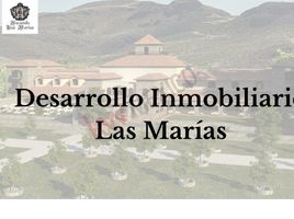  Terreno (Parcela) en venta en Camargo, Chihuahua, Camargo