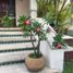 Maison 4 chambre à vendre à Cancun, Quintana Roo, Cancun