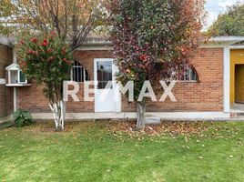 22 m² Office for rent in México, Toluca, México